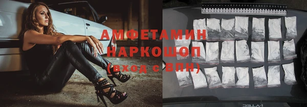 ГАЛЛЮЦИНОГЕННЫЕ ГРИБЫ Козловка