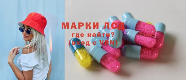 ГАЛЛЮЦИНОГЕННЫЕ ГРИБЫ Козловка