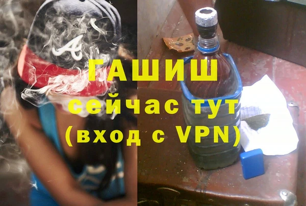 ГАЛЛЮЦИНОГЕННЫЕ ГРИБЫ Козловка