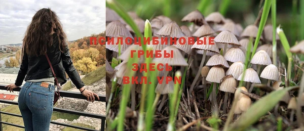 хмурый Кодинск
