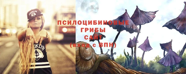 ГАЛЛЮЦИНОГЕННЫЕ ГРИБЫ Козловка