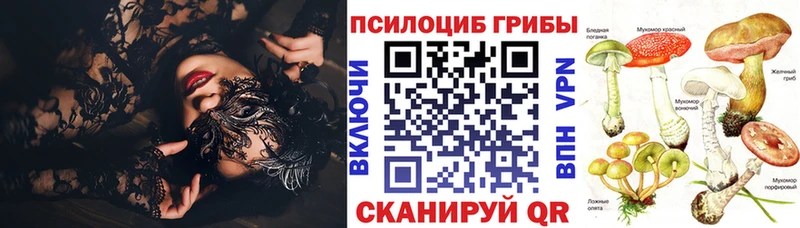 Псилоцибиновые грибы мухоморы  гидра вход  Крым  дарнет шоп 