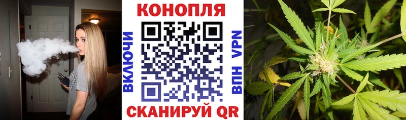 Бошки Шишки ГИДРОПОН  Крым 